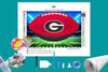 Georgia Football Diamond Painting