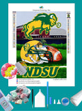 North Dakota State NCAA Home Diamond Painting