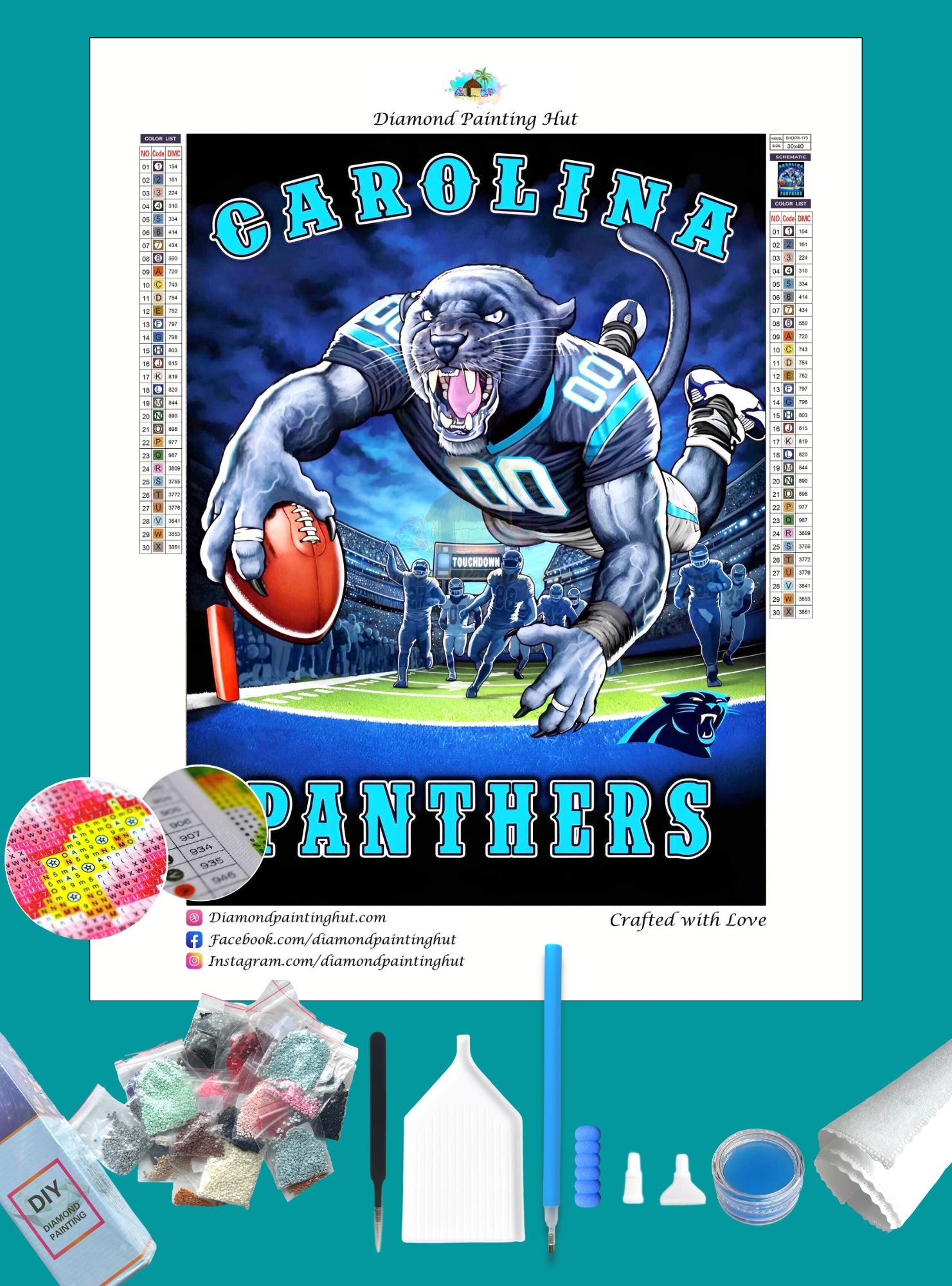 Carolina Panthers NFL Football Diamond Painting - Diamond Painting Hut