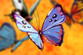 Little Butterflies Diamond Painting-Diamond Painting Hut